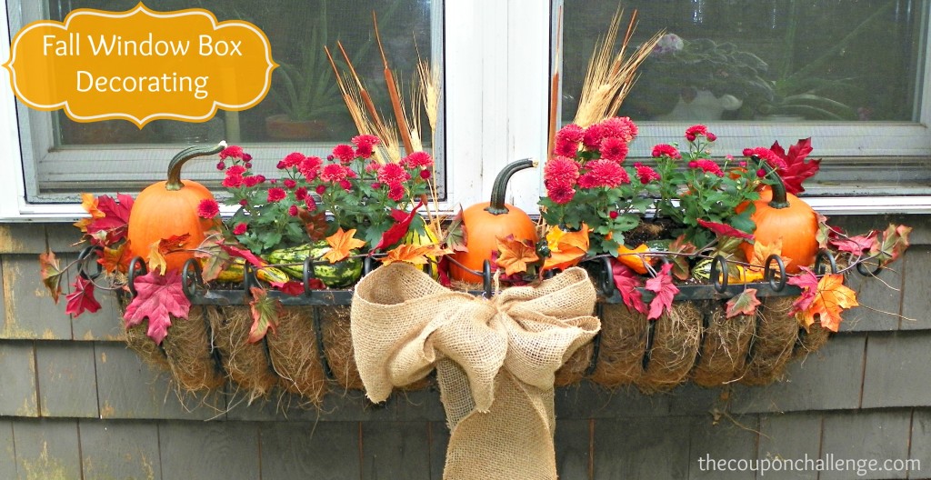 Flowers for Window Boxes