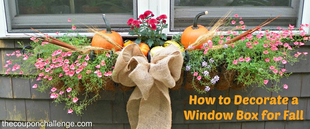 How to Decorate a Window Box