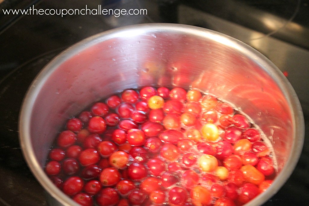 Cranberry Pound Cake 2