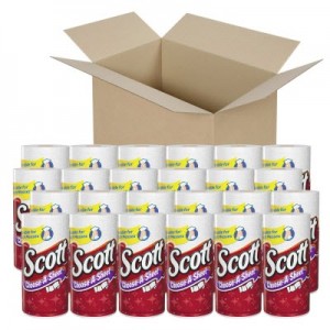 Scott Towel Mega Roll Paper Towels, White