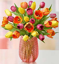 Radiant Tulips for Mom , 15-30 Stems
