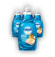 dawn-saves-wildlife