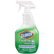 Clorox Clean Up Spray