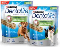 DentaLife Dog Treats