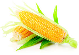 Photo Credit: agrilife.org