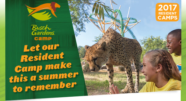 Save 10 On Busch Gardens Tampa Summer Resident Camps The Coupon